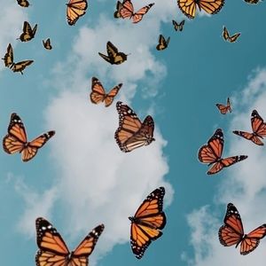 Meet your Posher, Melody